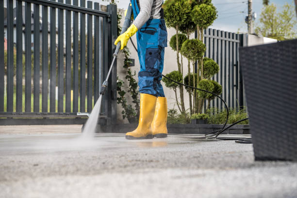 Best Roof Washing  in Quincy, CA